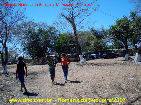 sucupira_2007_0087