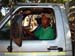 sucupira_2007_0023