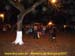 sucupira_2007_0047