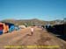 sucupira_2007_0064