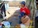 sucupira_2007_0067
