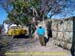 sucupira_2007_0072