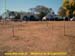 sucupira_2007_0074