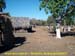 sucupira_2007_0084
