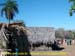 sucupira_2007_0085