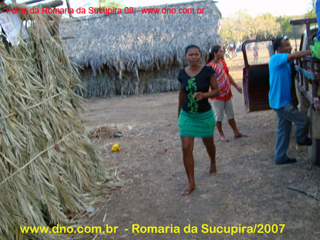 sucupira_2007_0108