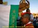 sucupira_2007_0166