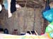 sucupira_2007_0188