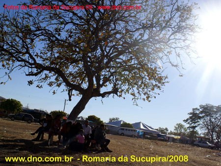 sucupira_2008_0074