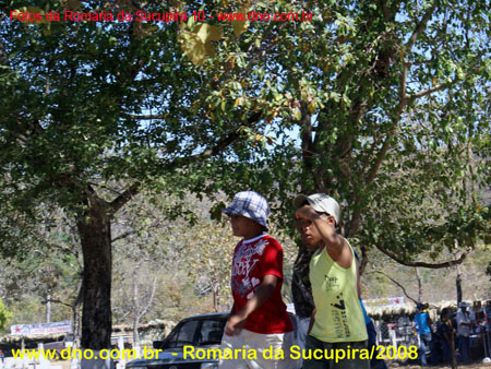 sucupira_2008_0170