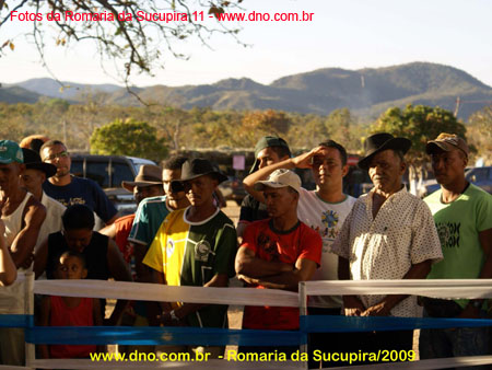 sucupira_2009_0065