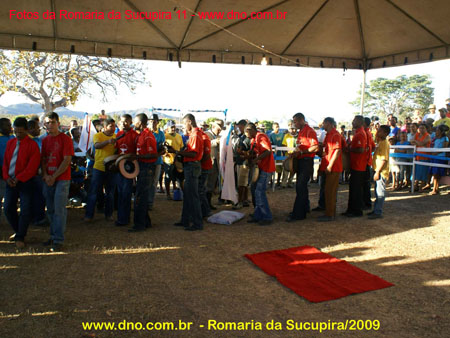sucupira_2009_0078