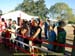 sucupira_2009_0031