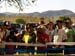 sucupira_2009_0065