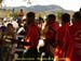 sucupira_2009_0075