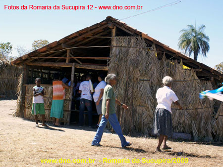 sucupira_2009_0127