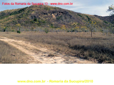 sucupira_2010_024