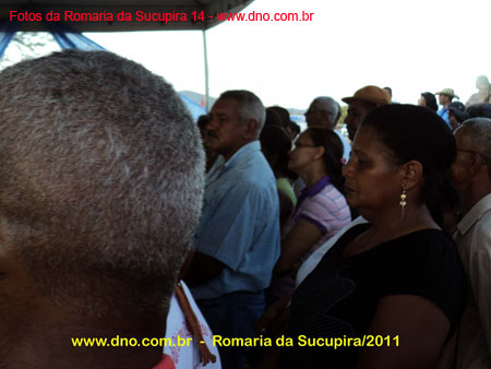 sucupira_2011_0062