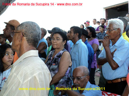 sucupira_2011_0065
