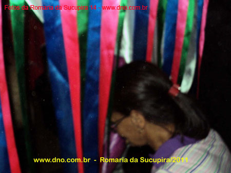 sucupira_2011_0088