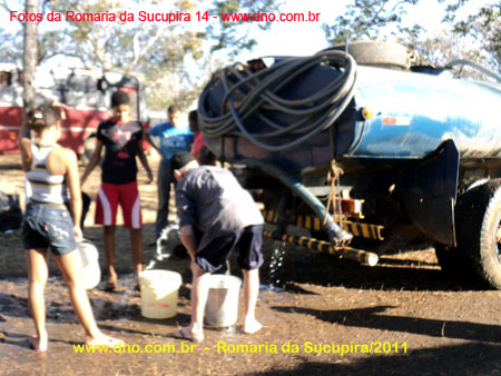 sucupira_2011_0101