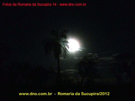 sucupira_2012_001