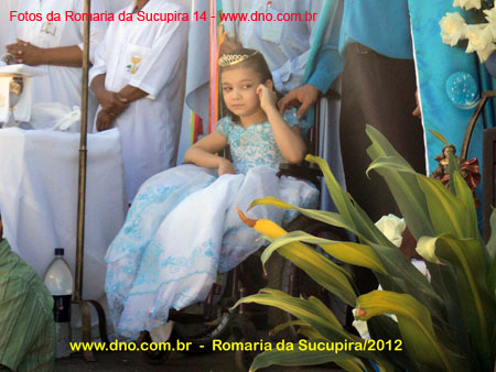sucupira_2012_013