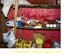 sucupira_2011_0108