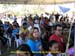 sucupira_2012_005