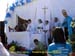 sucupira_2012_011