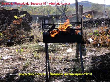 sucupira_2013_060