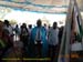 Sucupira_2015-08-01_058