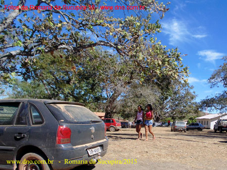 Sucupira_2015-08-02_154