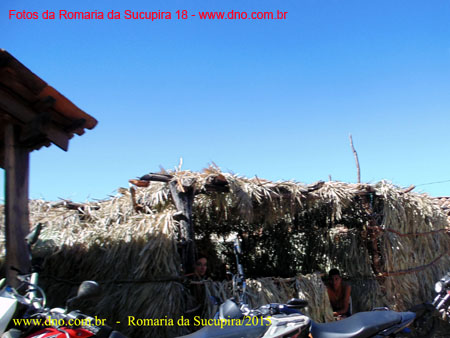 Sucupira_2015-08-02_155