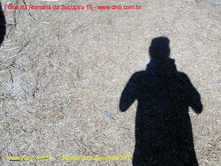 Sucupira_2015-08-02_156