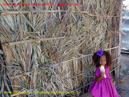 Sucupira_2015-08-02_158