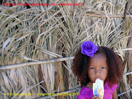 Sucupira_2015-08-02_159